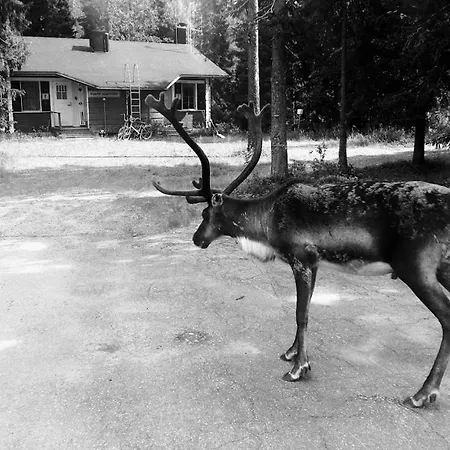 Rukan Ukkoteeri 1 & 2 * Ruka