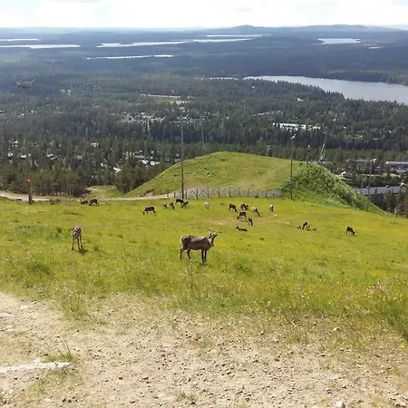 Rukan Ukkoteeri 1 & 2 Alpehytte Ruka
