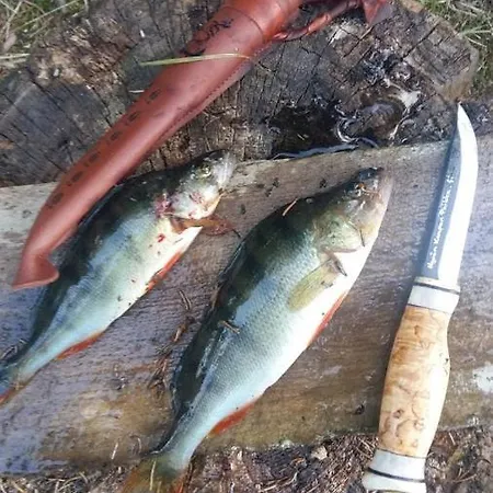 Rukan Ukkoteeri 1 & 2