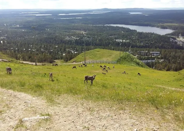 Rukan Ukkoteeri 1 & 2 شاليه روكا