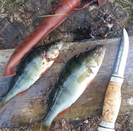 Rukan Ukkoteeri 1 & 2